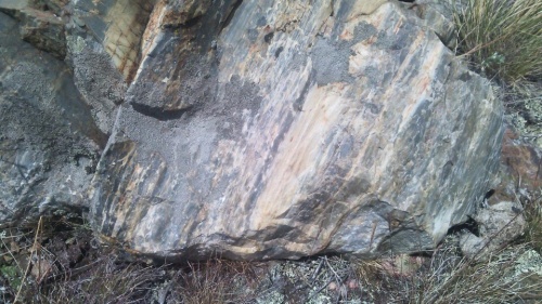 Гигантские зелёные валуны для ландшафтного дизайна весом более 5 тонн купить в Пензенской области