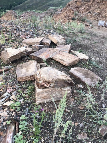 Пошаговая дорожка из плит златолит кора дерева купить в Пензенской области